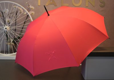 Parapluie de Cherbourg