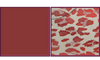 aaa (3)