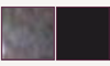 couleurs chaussures site (29)