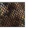 pythonnn
